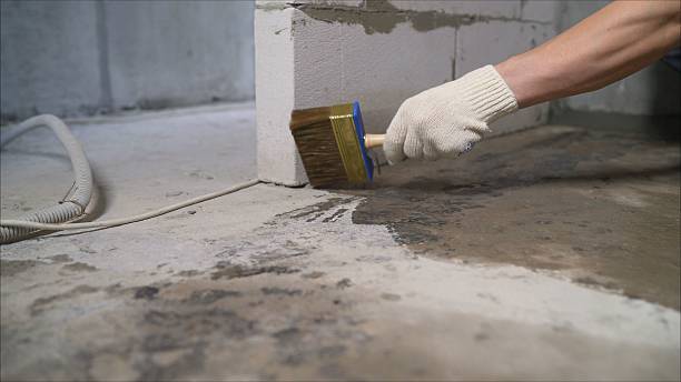 Top rated local Wet Basement Repair specialists in Brandamore, PA